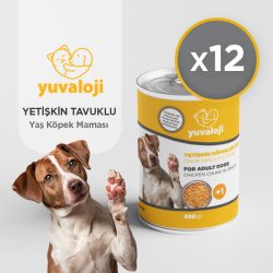 YetişkinKöpek-tavuklu