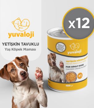 Yetişkin Köpekler İçin Tavuk Parça Etli Soslu Yaş Köpek Maması